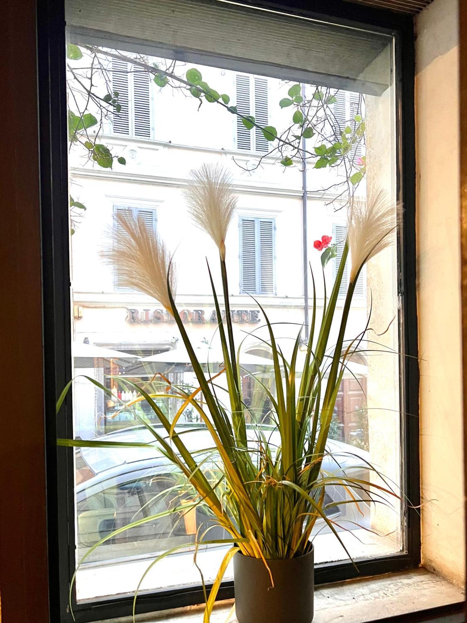 Romantic Wellness Apartment Colosseo Екстер'єр фото